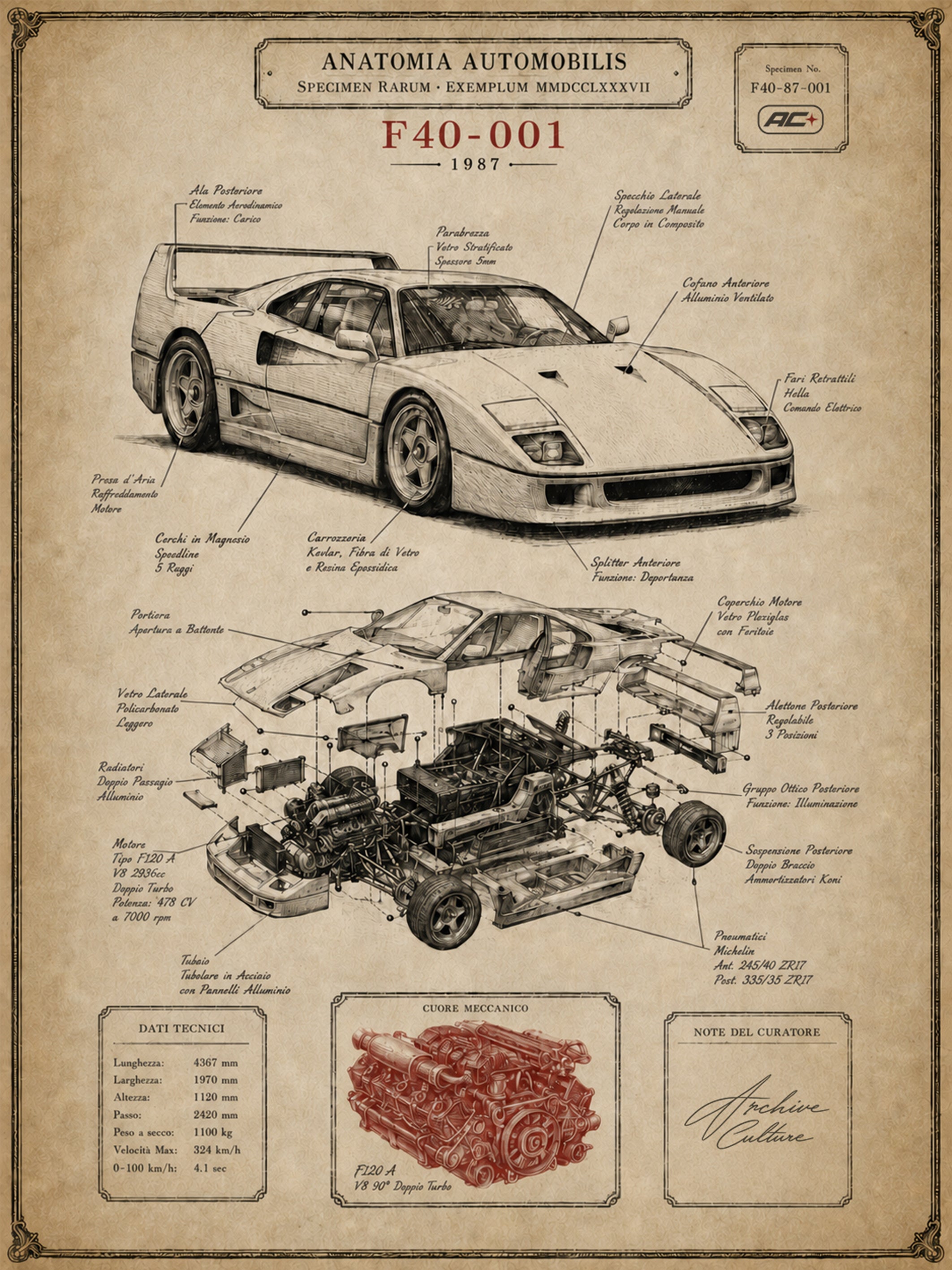 Anatomia 001